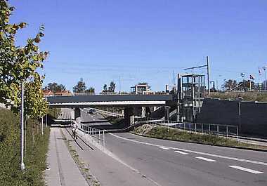 Sydlige stibro